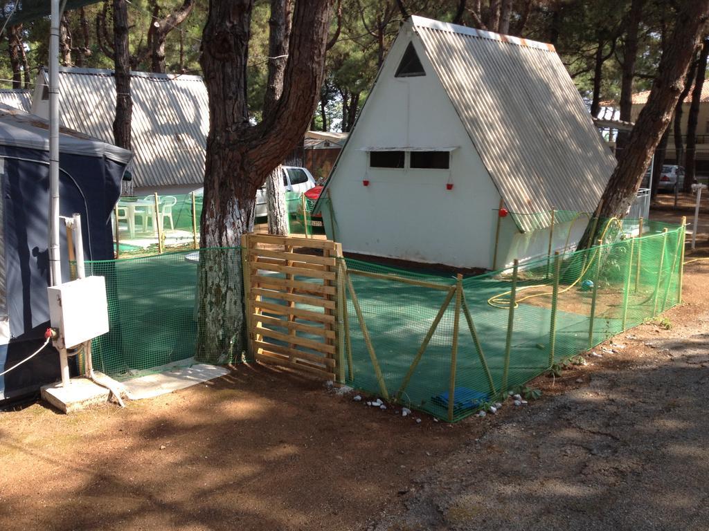 Olympos Beach Plaka Litochorou Buitenkant foto